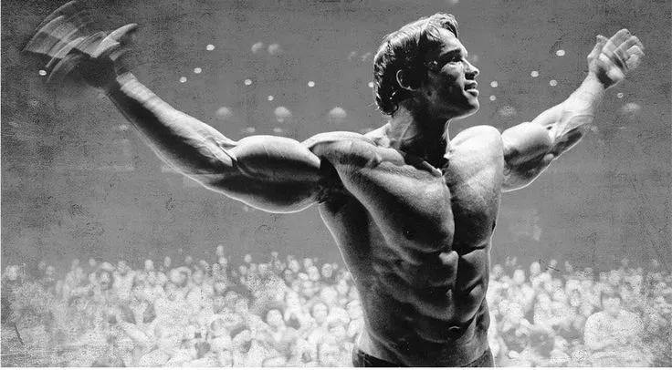 Arnold Schwarzenegger definicao